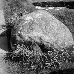 Discover Meg Shelton, the Witch of Woodplumpton's spooky grave 7 Discover Meg Shelton, the Witch of Woodplumpton's spooky grave 2