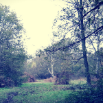 Is Stanmore North London's most haunted suburb? 3 Is Stanmore North London's most haunted suburb? 2