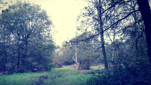 Is Stanmore North London's most haunted suburb? 1