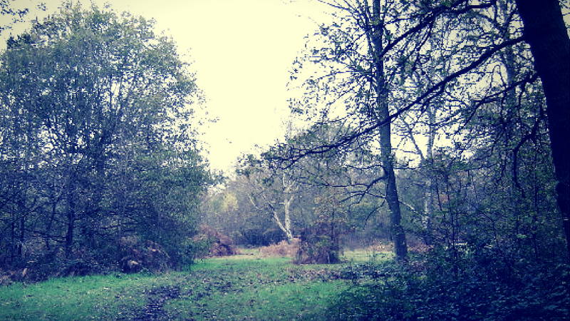 Haunted Stanmore Common