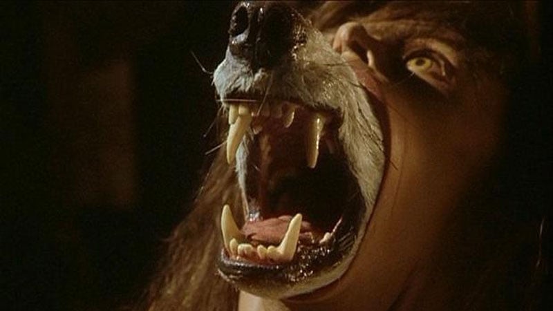 A Company of Wolves, Ireland horror film