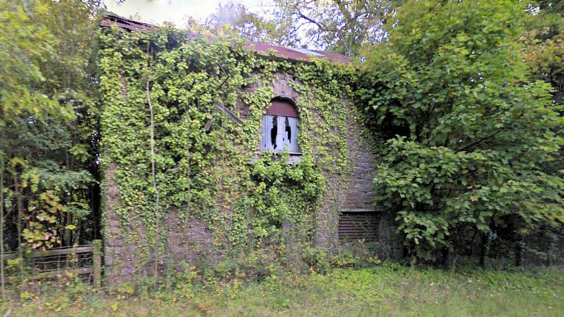 Overgrown and forgotten... Lion Terrace Chapel prior to demolition in 2016