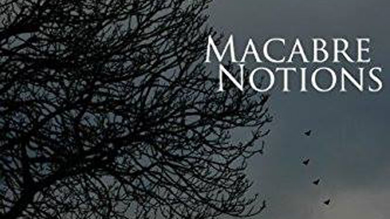 Macabre Notions by Aaron White BOOK REVIEW 1 Macabre Notions