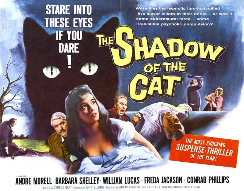 Shadow of the Cat