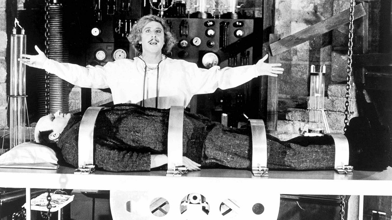 Young Frankenstein 1974