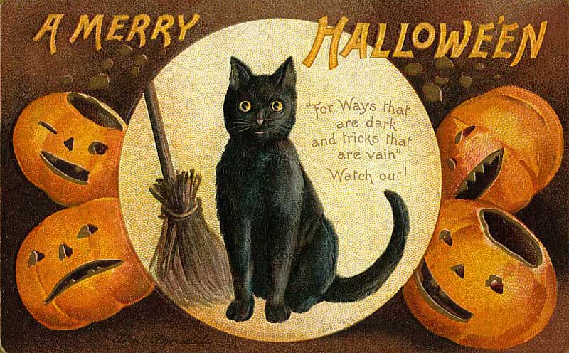 Black Cats and Superstition: 13 Things You Didn’t Know About 1 black cat superstition