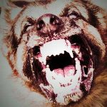 England's Obsession With Black Dogs And Other Demon Hounds of Hell 1