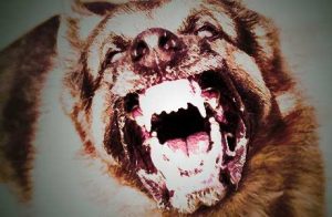 England's Obsession With Black Dogs And Other Demon Hounds of Hell 1