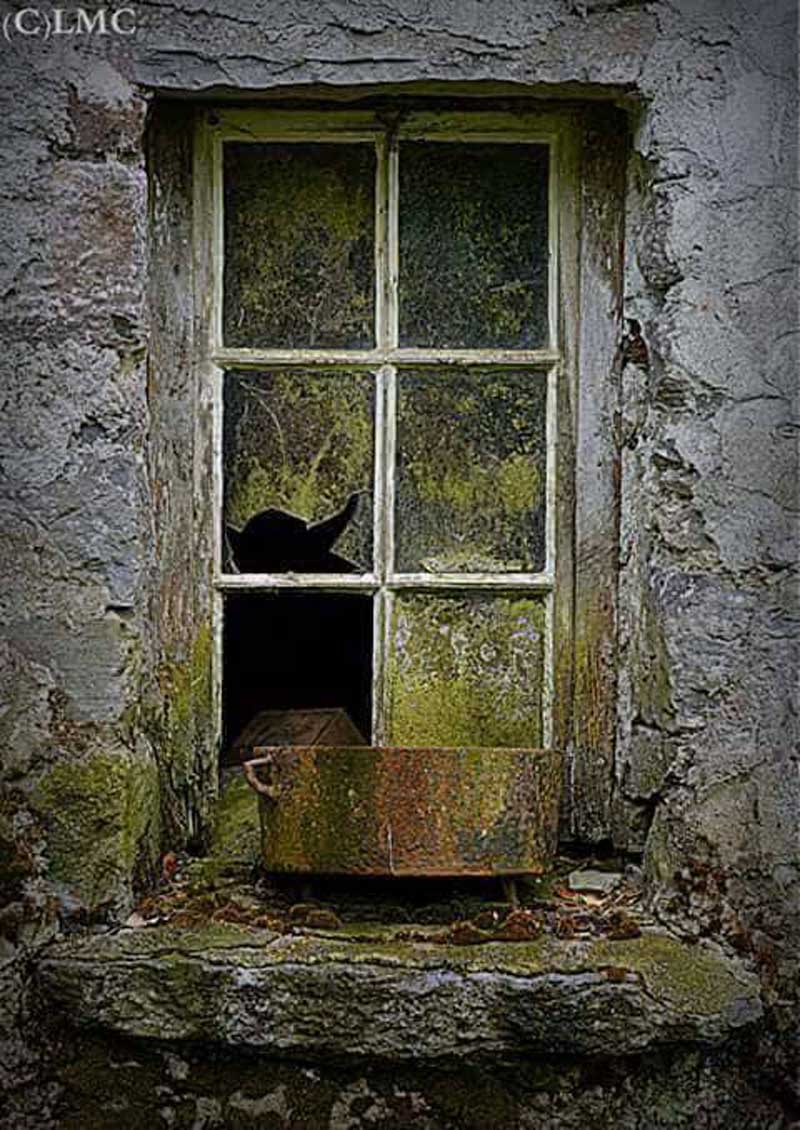 Spooky Ireland Photos From The Lense of Liam McNamara 6 Goblin Window