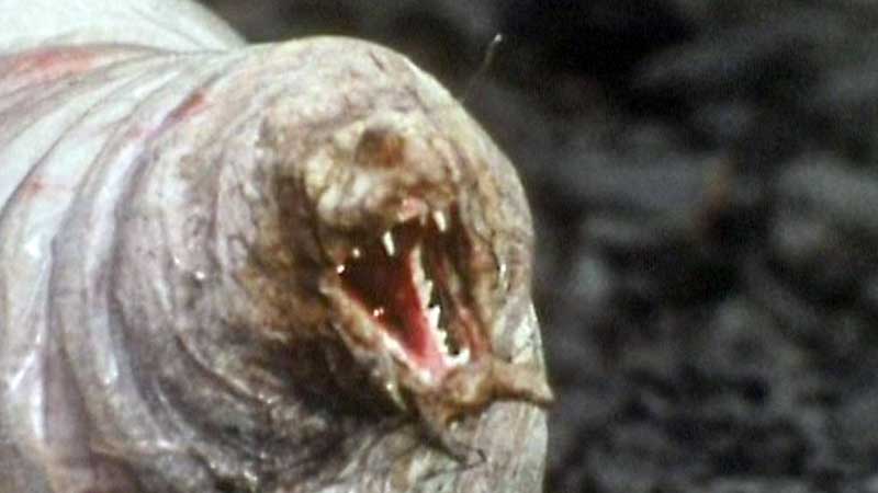 Scariest moments in Doctor Who: The Maggot