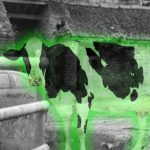 Ghost Farm Animals