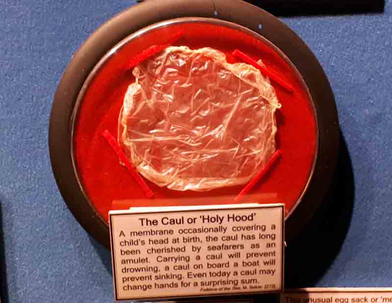 An example of a caul seen in the Witchcraft Museum in Boscastle, Cornwall.
