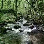 Ghosts and horror haunt Cornwall's Kennall Vale 2