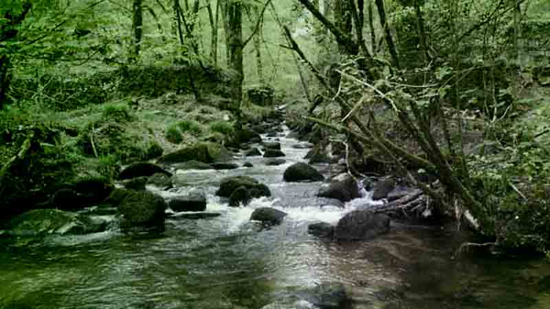 Ghosts and horror haunt Cornwall's Kennall Vale 1