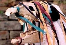 Mari Lwyd Horse Skull