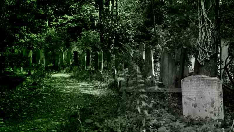 London graveyards don't come any spookier and overgrown as Tower Hamlets Cemetery.