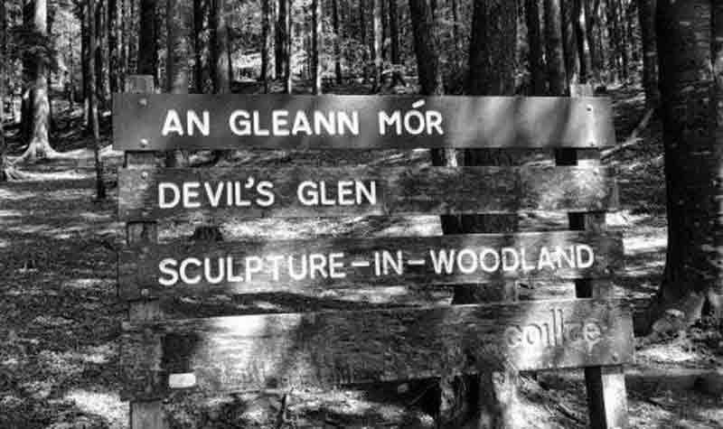 The Devil's Glen is in County WIcklow, Ireland.