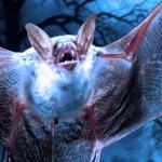 Was The Terrifying Bat Beast Of Kent Really An Alien UFO? 1