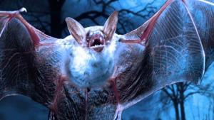Was The Terrifying Bat Beast Of Kent Really An Alien UFO? 1