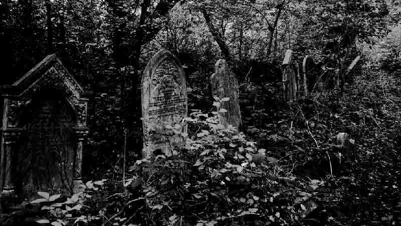 Nunhead Cemetery overgrown graves