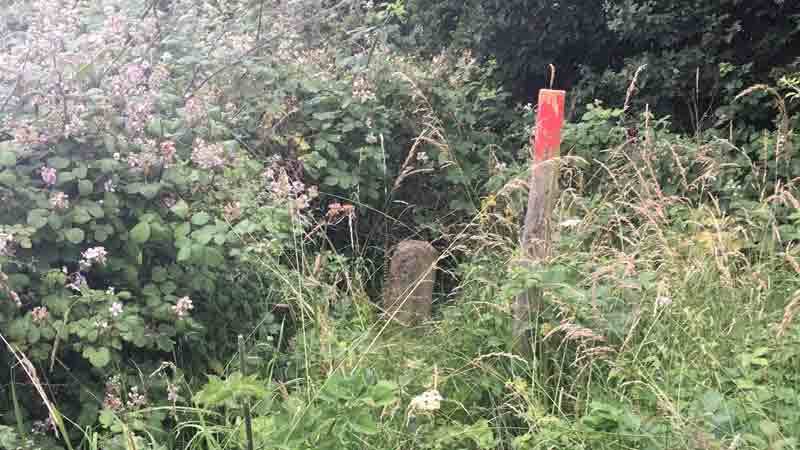 The Devil’s Toenail, Marston Moretaine, is a rare Neolithic standing stone in Bedfordshire which is really quite hidden. 