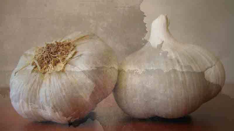 Garlic has many benefits, including supernatural power!