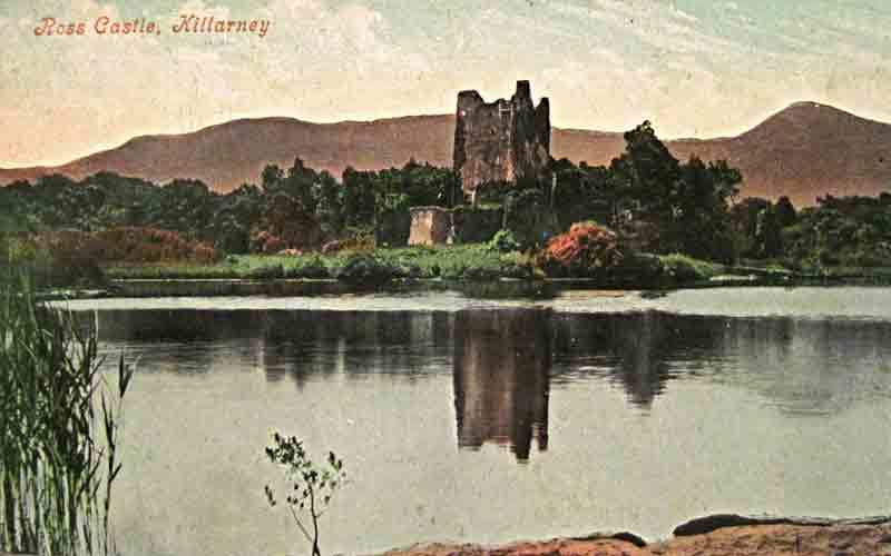 Killarney Postcard