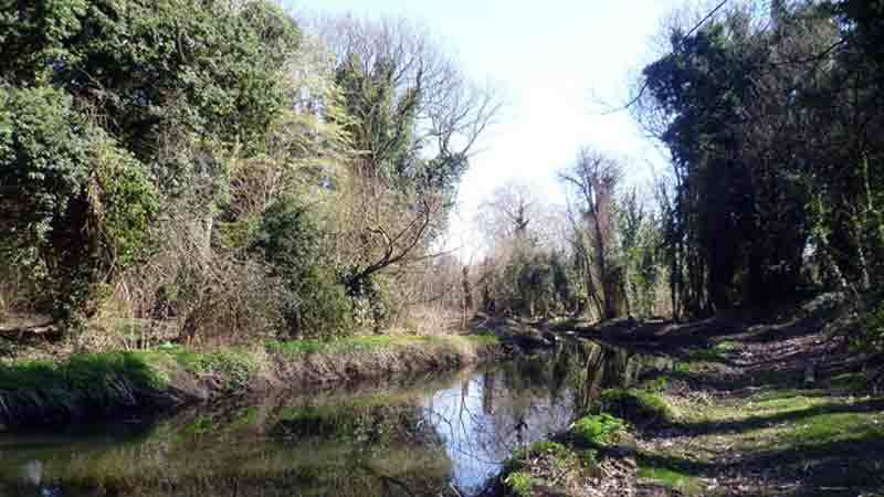 River Crane Middlesex
