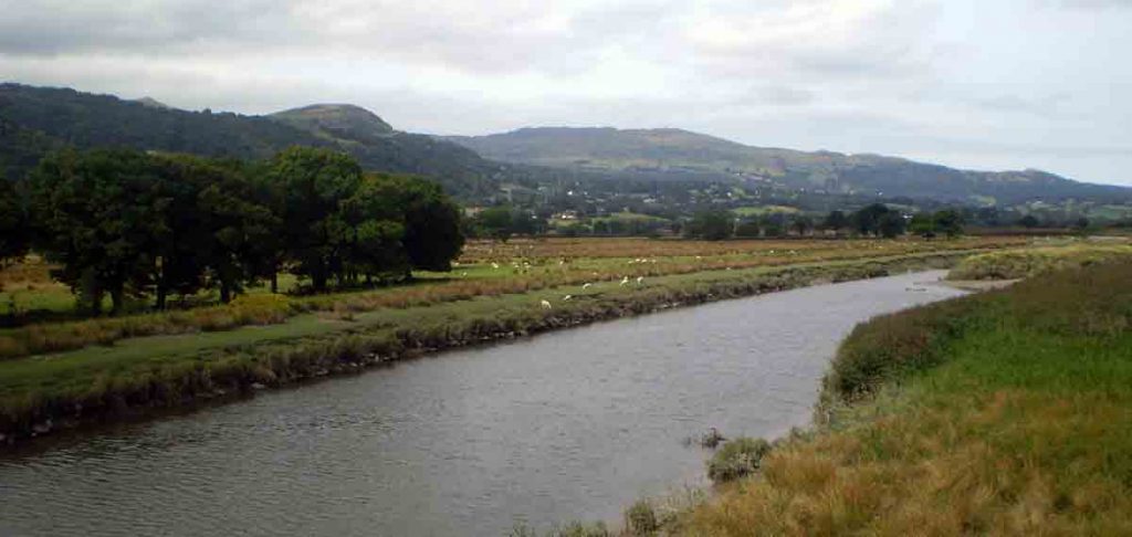 The River Conwy in Wales is the home of the Afranc