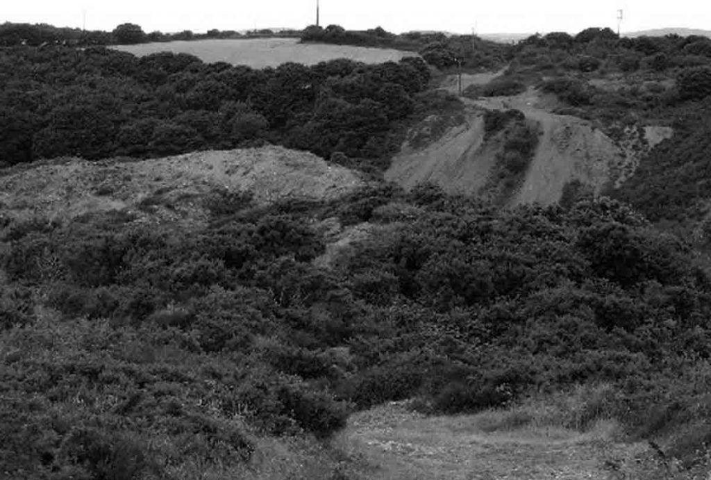 Wheal Alfred is a former copper and lead mine in west Cornwall, near Hayle