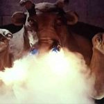 Land of the Minotaur 1976 REVIEW 2