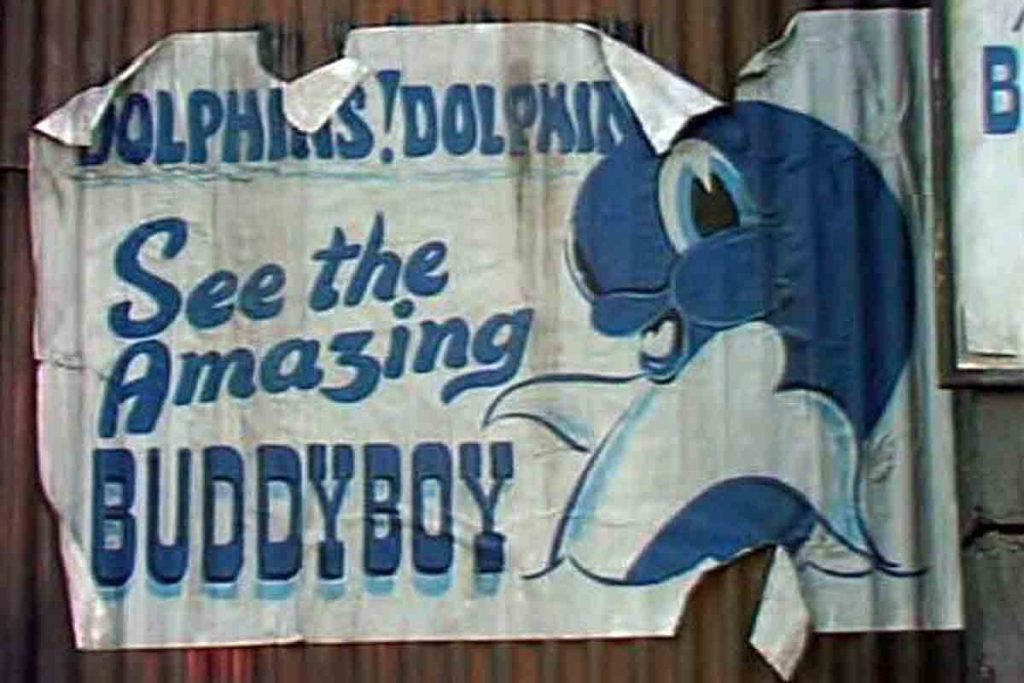 Buddyboy Beasts