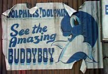 Buddyboy