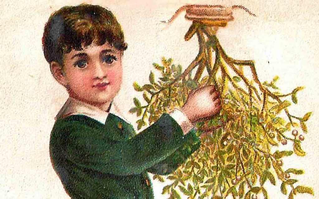 Mistletoe is long considered sacred, especially at Christmas