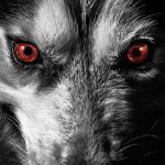 Hell Hounds of Jersey and Guernsey 2 Hell Hounds of Jersey and Guernsey 1