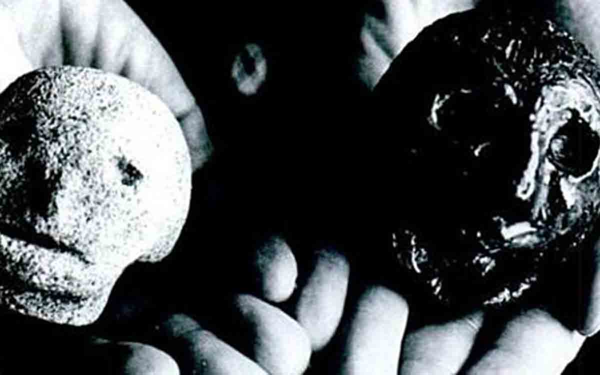 The Hexham Heads and the Werewolf