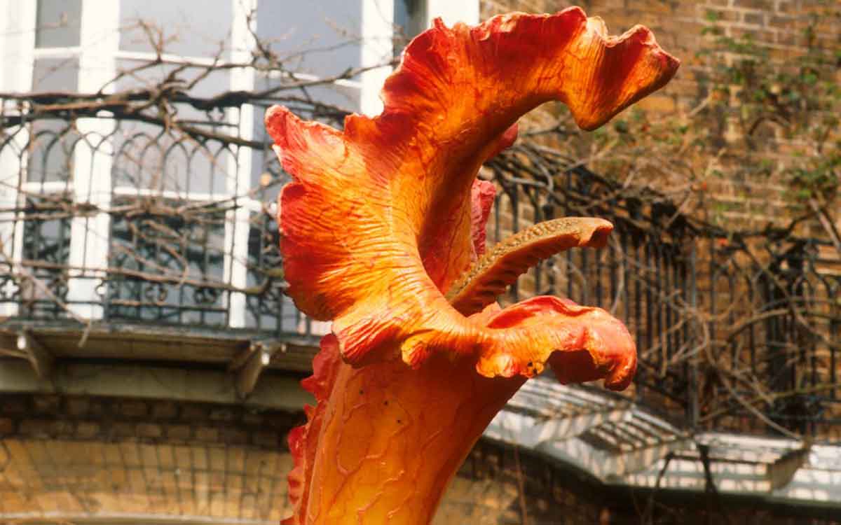 Day Of The Triffids 1981 Blu-ray REVIEW