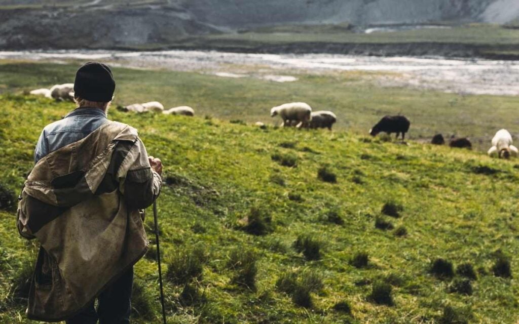 The Lonely Shepherd and the power of the Welsh folktale 1