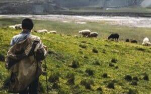 The Lonely Shepherd And The Power Of The Welsh Folktale 3