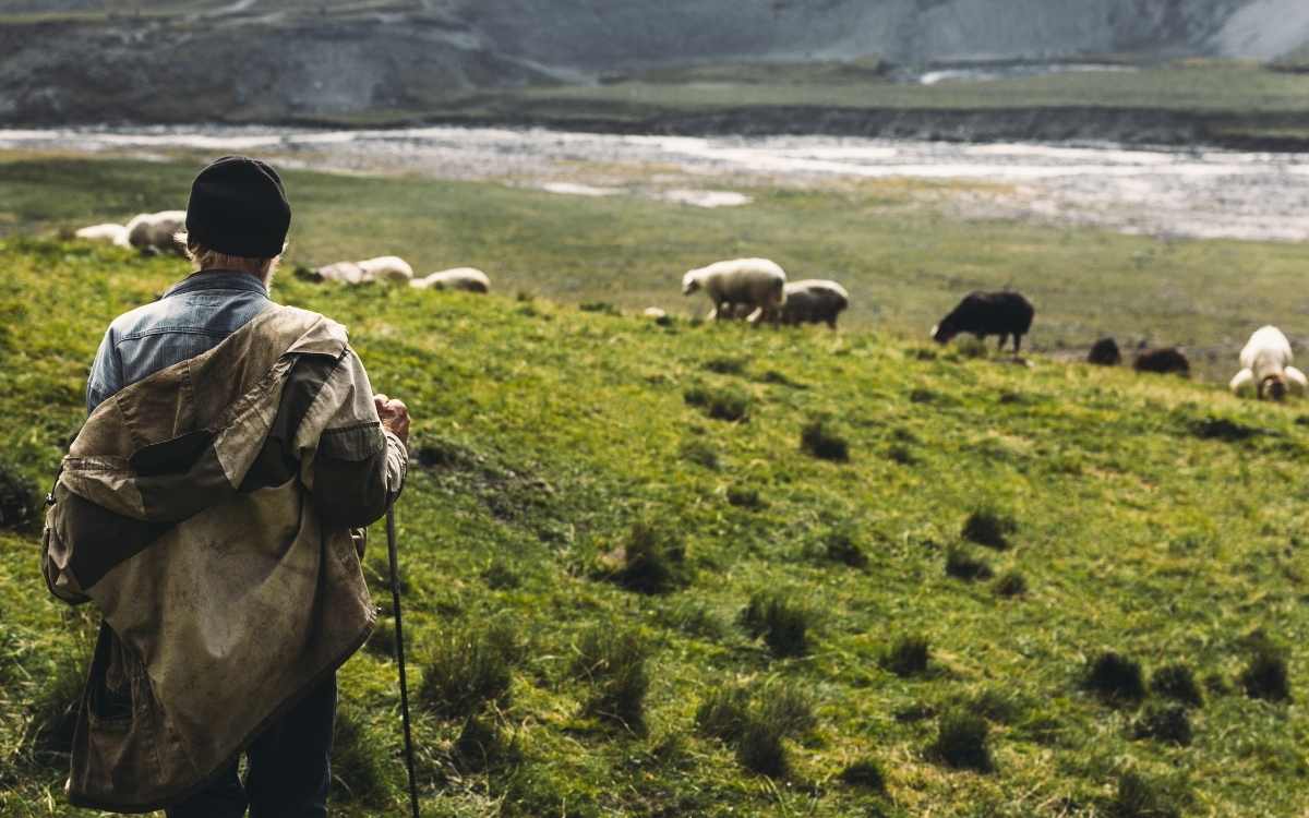 The Lonely Shepherd And The Power Of The Welsh Folktale