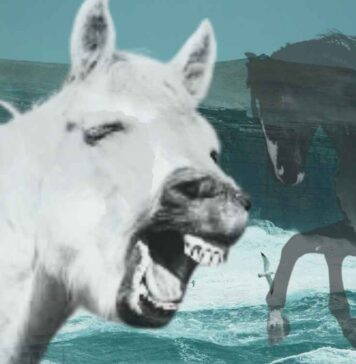 The Nuckelavee has been described as the nastiest of all Scottish demons. Guest writer MONA HERB BOUGHTON introduces us to this devil beast from Orkney...
