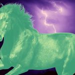 Kelpie