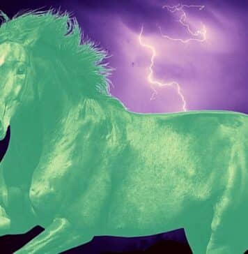 Kelpie