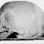 The Screaming Skull of Wardley Hall 3