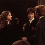 Harry Potter and the Chamber of Secrets 2002