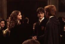 Harry Potter and the Chamber of Secrets 2002
