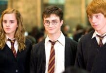 Harry Potter and the Order of the Phoenix 2007 REVIEW