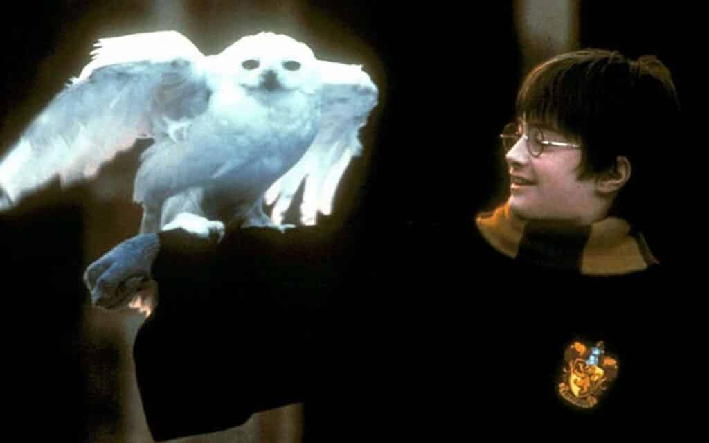 Harry Potter (Daniel Radcliffe) with Hedwig in Harry Potter and the Philiosopher's Stone 2001