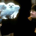 Harry Potter (Daniel Radcliffe) with Hedwig in Harry Potter and the Philiosopher's Stone 2001