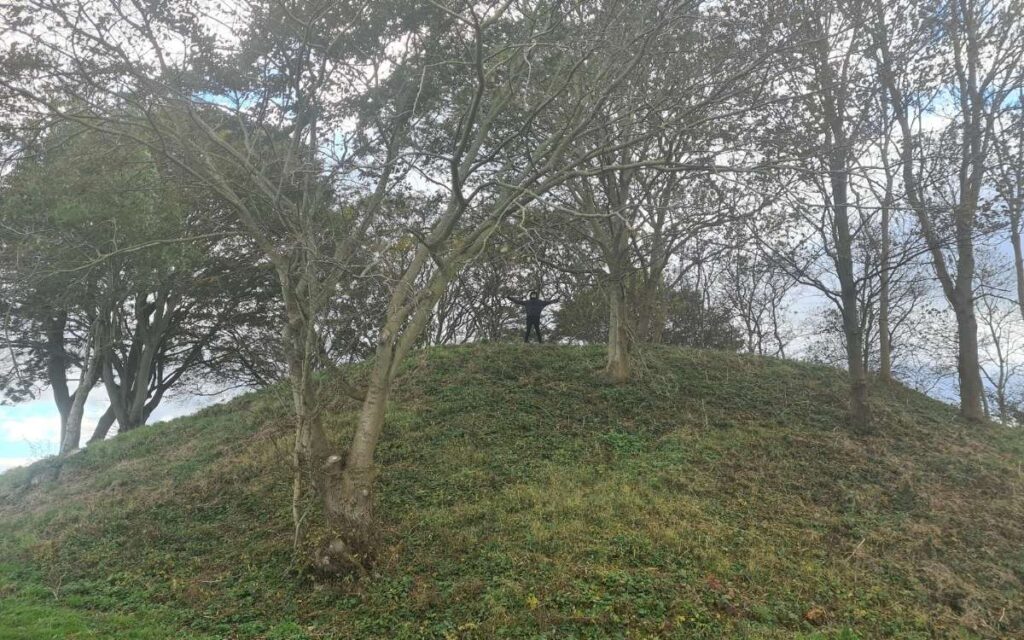 Willy Howe looking from the north-side of the mound